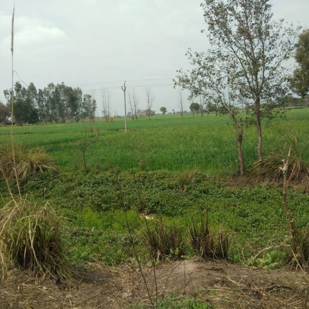 Images for Main Other of Shubham Jewar City