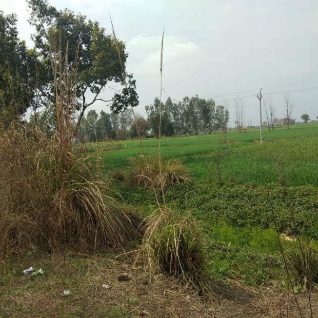 Images for Main Other of Shubham Jewar City
