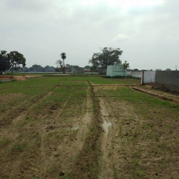Images for Main Other of Shubham Jewar City