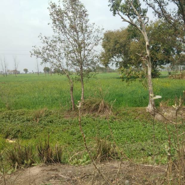Images for Main Other of Shubham Jewar City