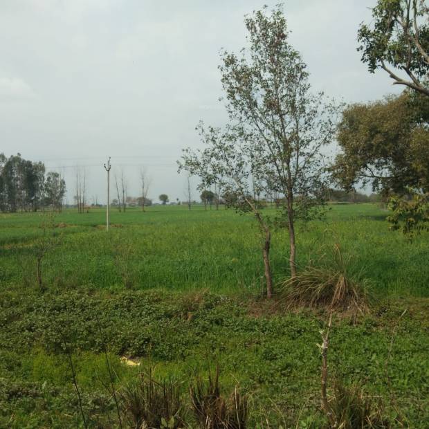 Images for Main Other of Shubham Jewar City