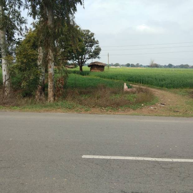 Images for Main Other of Shubham Jewar City