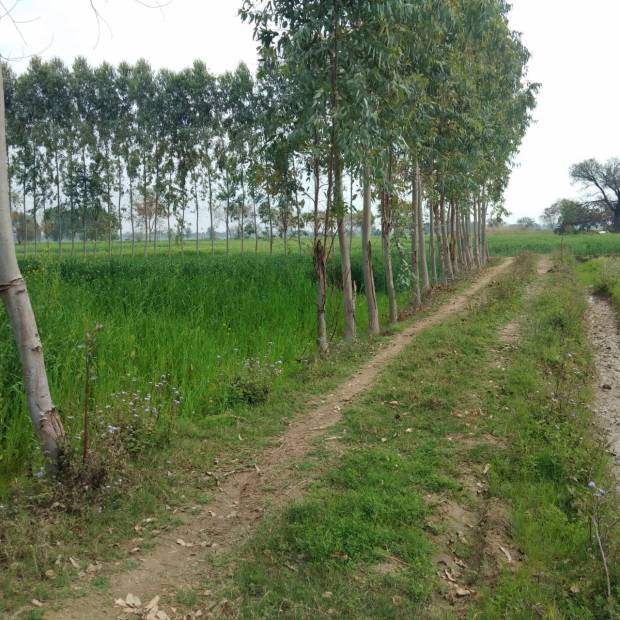 Images for Main Other of Shubham Jewar City