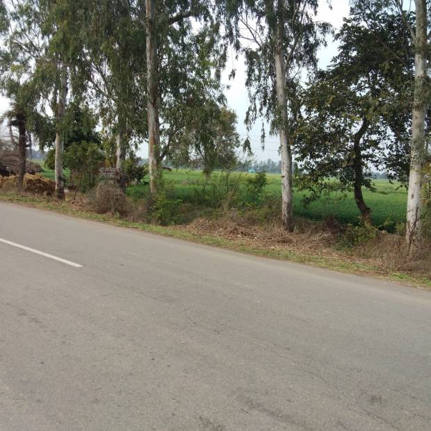 Images for Main Other of Shubham Jewar City