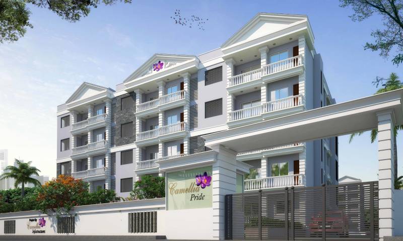  pride Images for Elevation of Camellia Pride