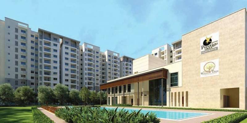 willow-tree Images for Amenities of Prestige Willow Tree