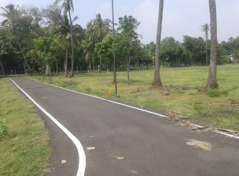 Images for Main Other of Premier Green Garden