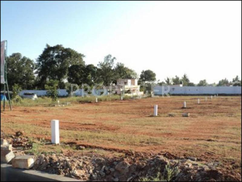 indus Images for Elevation of Confident Indus