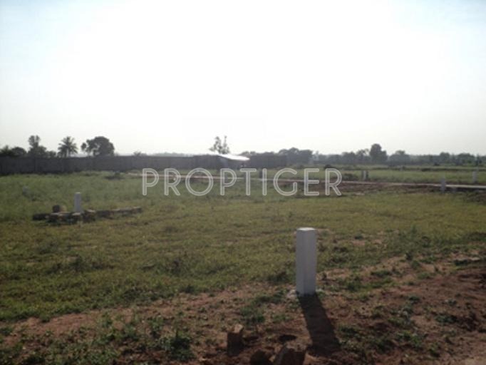  indus Images for Elevation of Confident Indus