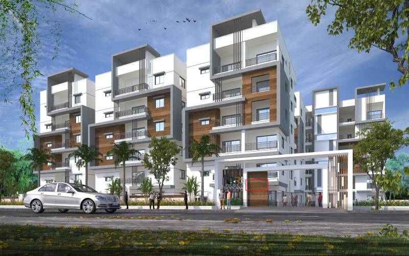  tropicana Images for Project