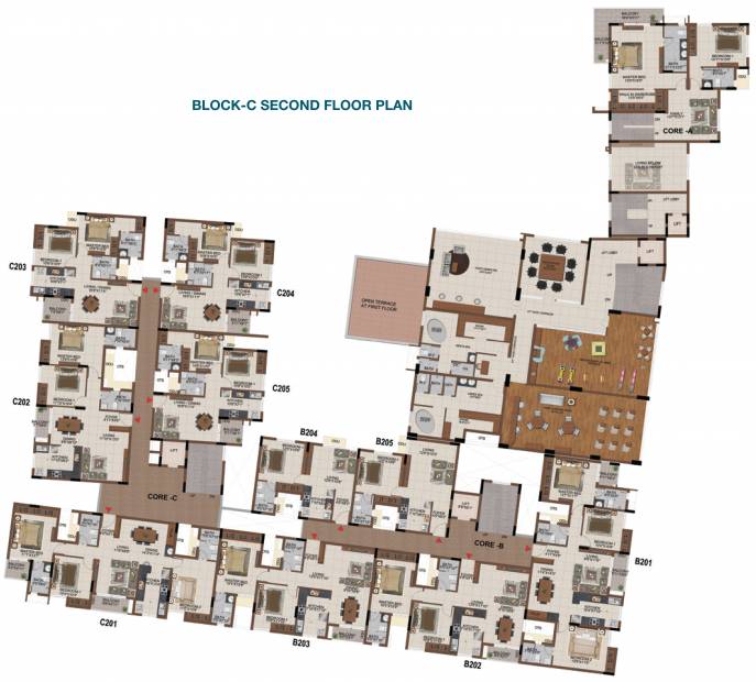  castle Cluster Plan