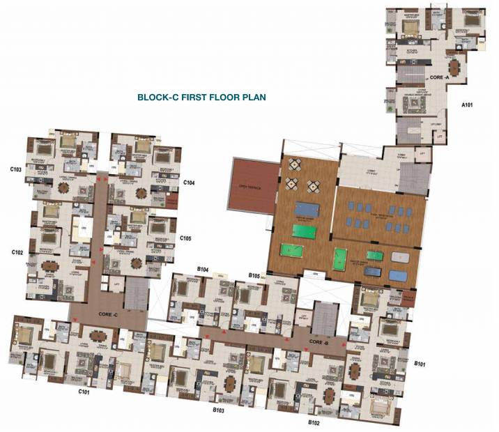 castle Cluster Plan