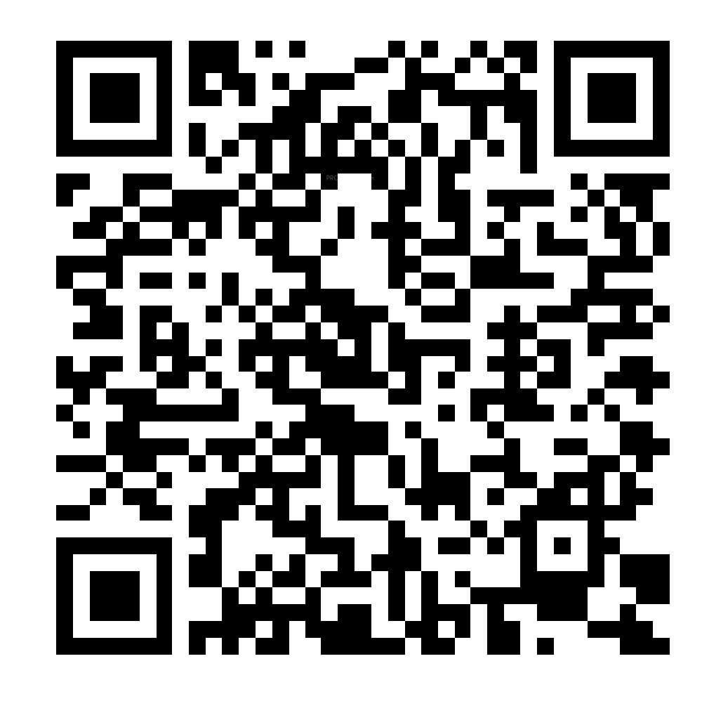 QR Image