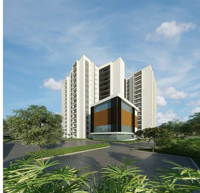 Images for Elevation of Mithuna Mithuna White Aspera