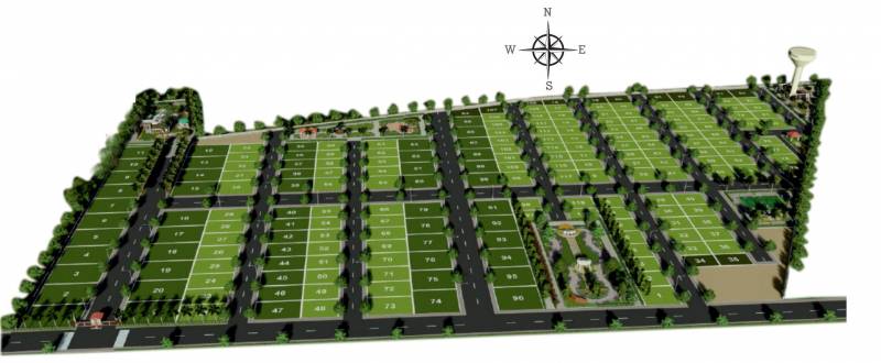  green-palms Images for sitePlan