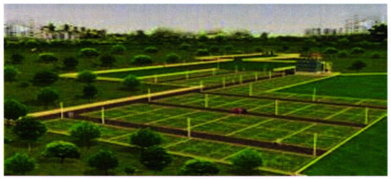  siddheshwari-plotting Images for Project