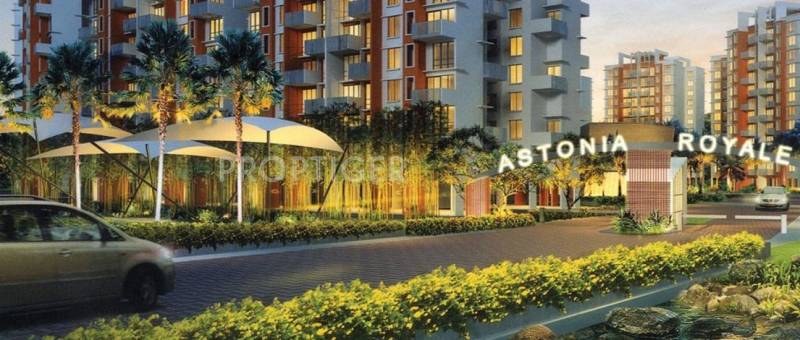  astonia-royale Images for Elevation of Amit Astonia Royale