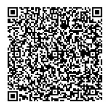 QR Image