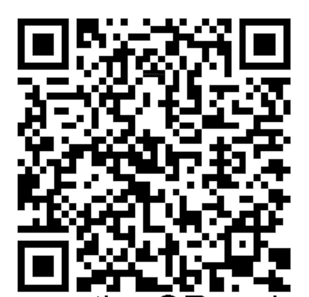 QR Image