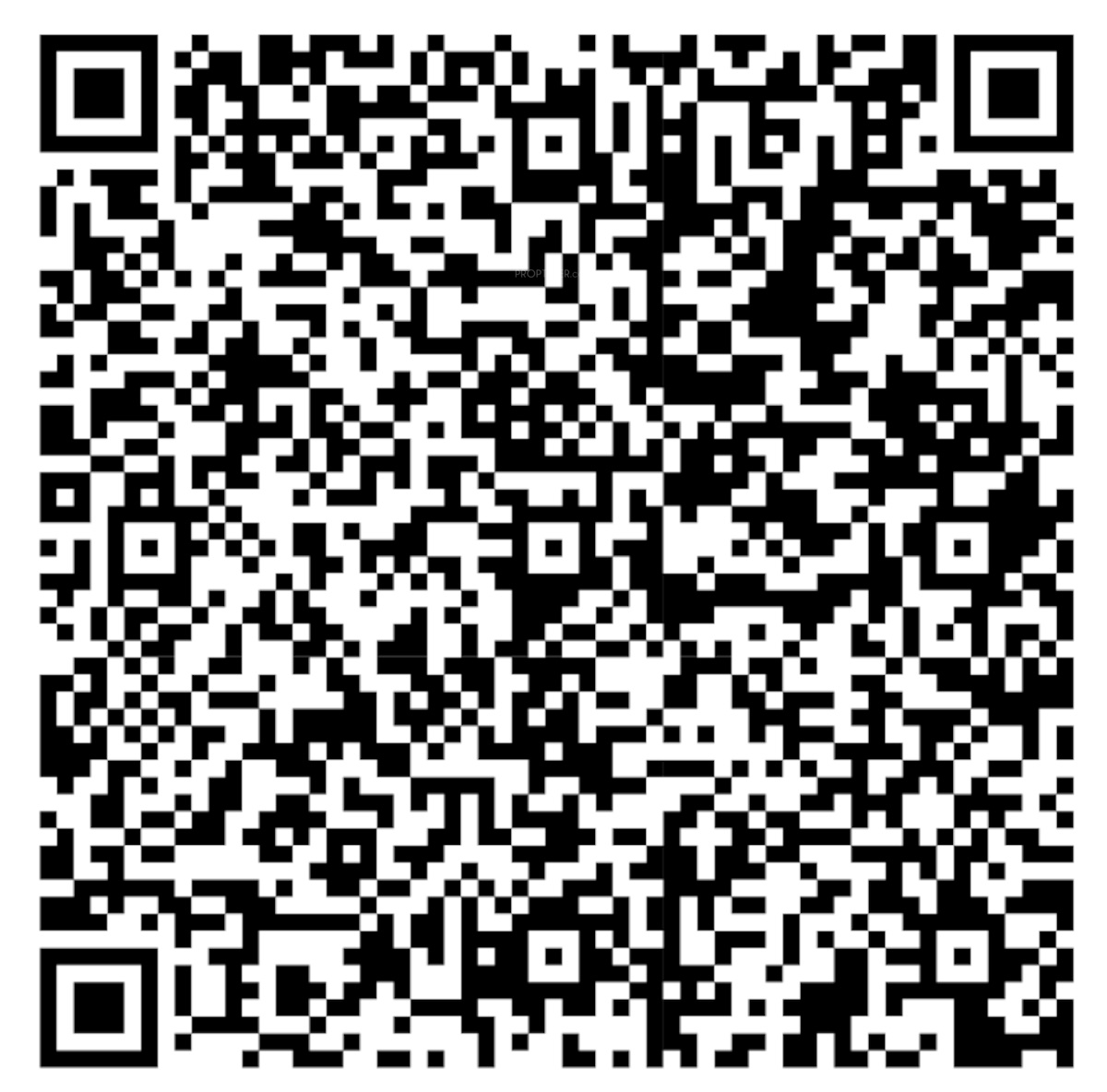 QR Image