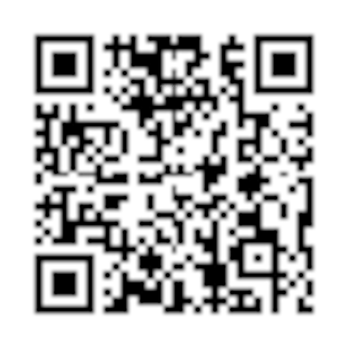 QR Image