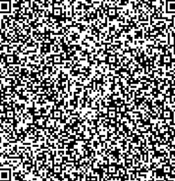 QR Image