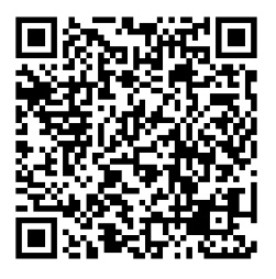 QR Image