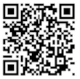 QR Image