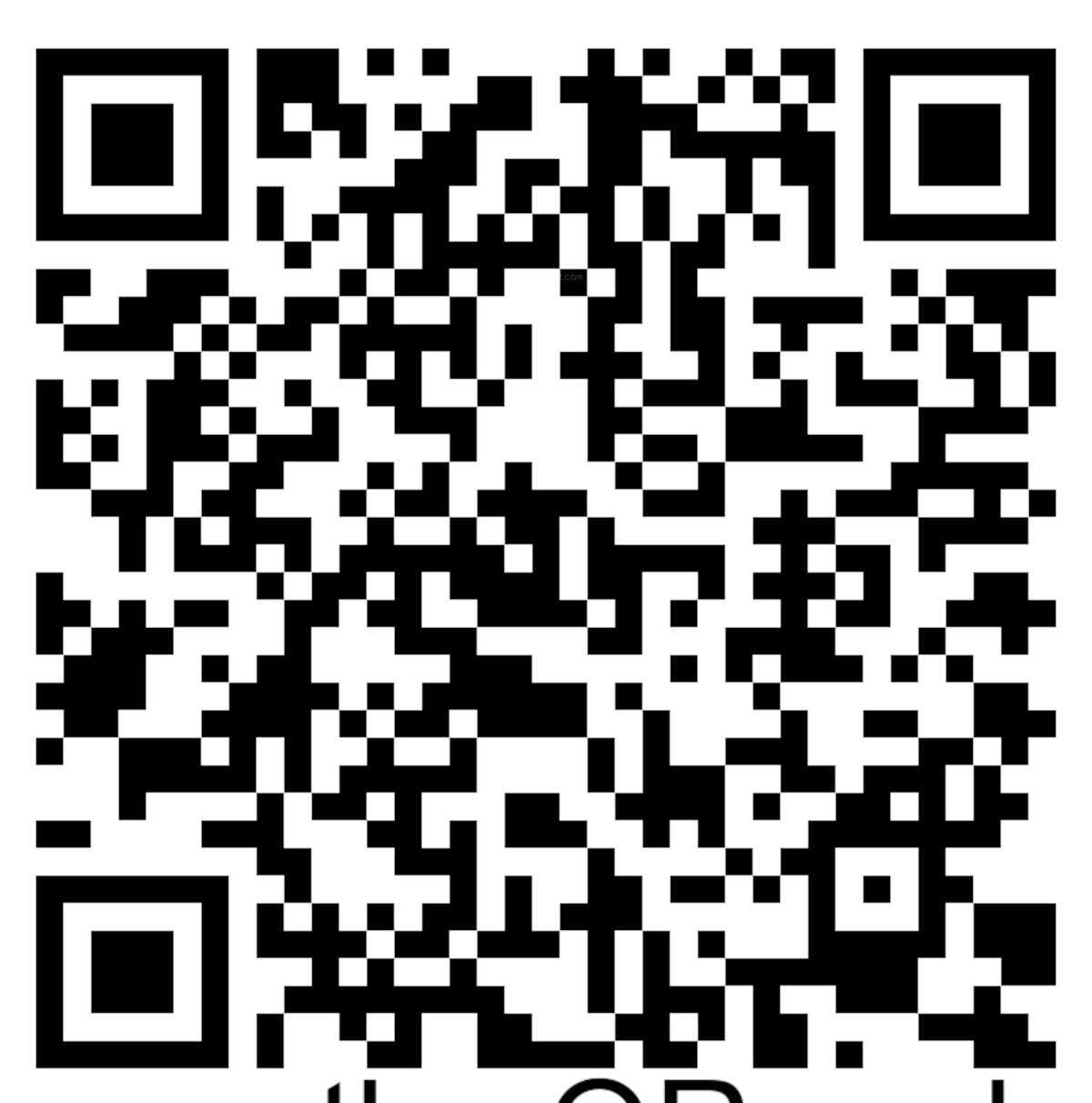 QR Image
