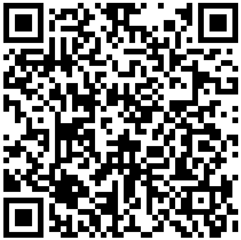 QR Image