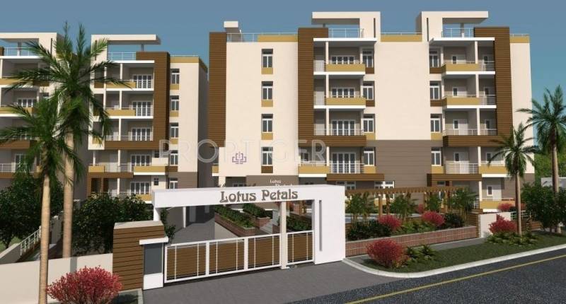 Images for Elevation of Lotus Petals