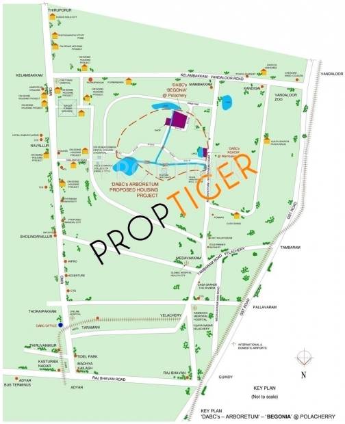  begonia Location Plan