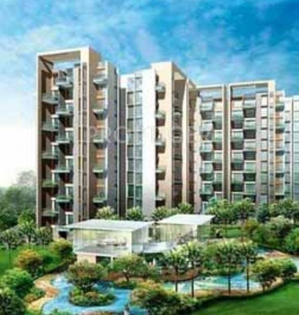  flora Images for Elevation of Shree Flora