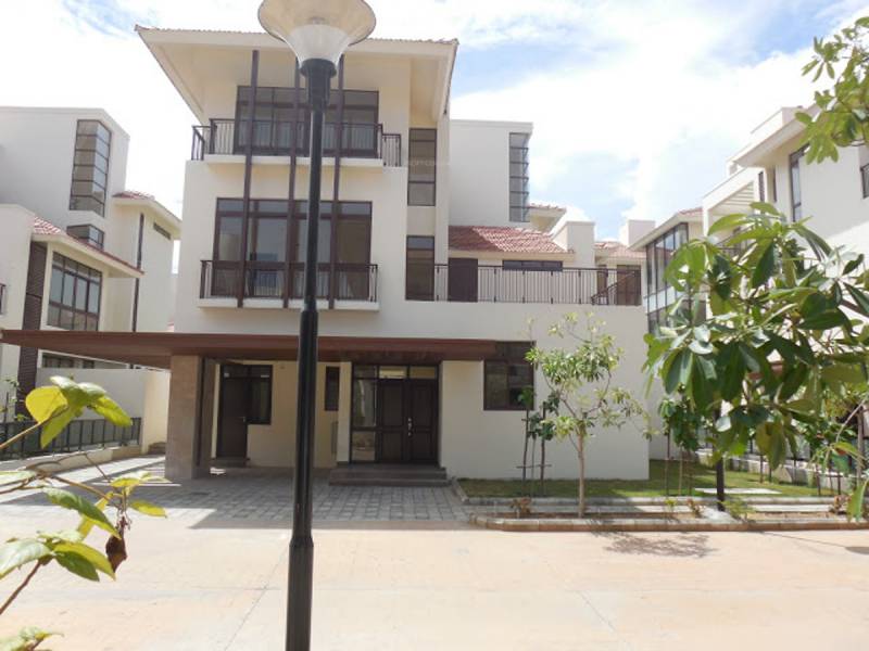  panache Images for Elevation of Olympia Panache