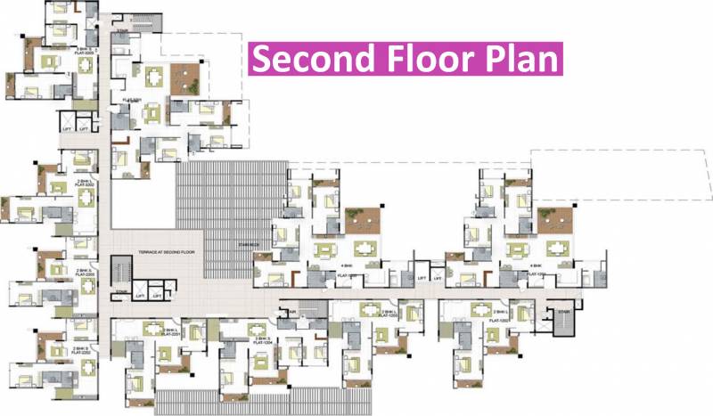 Images for Cluster Plan of Golden Orchids