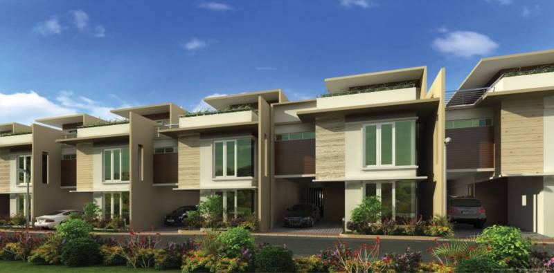 Images for Elevation of SJR Crystal Cove