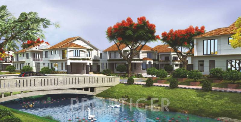  bellezea Project Image