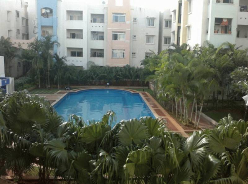 Images for Amenities of Prestige Palms