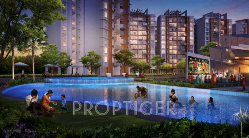  astonia-royale Images for Elevation of Amit Astonia Royale