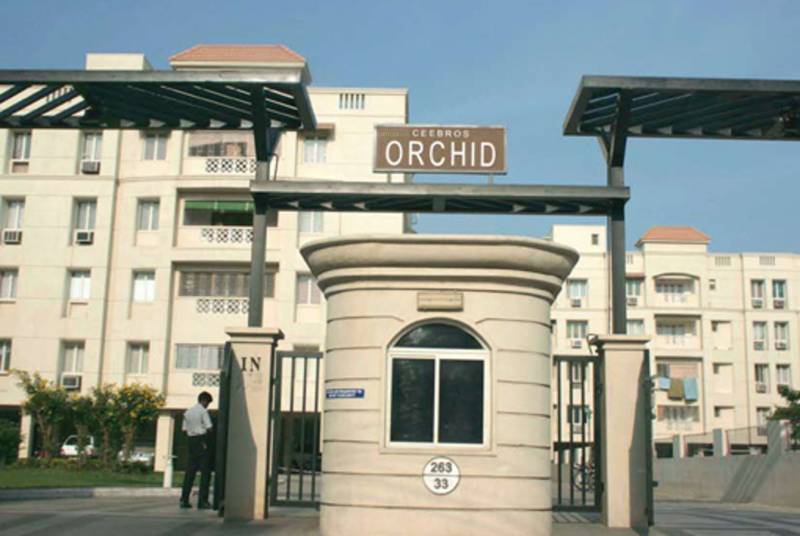 ceebros orchid Elevation