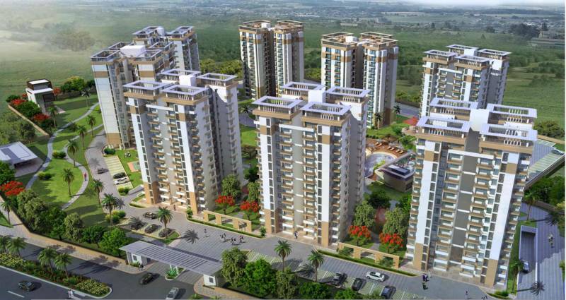  flora Images for Elevation of Shree Flora