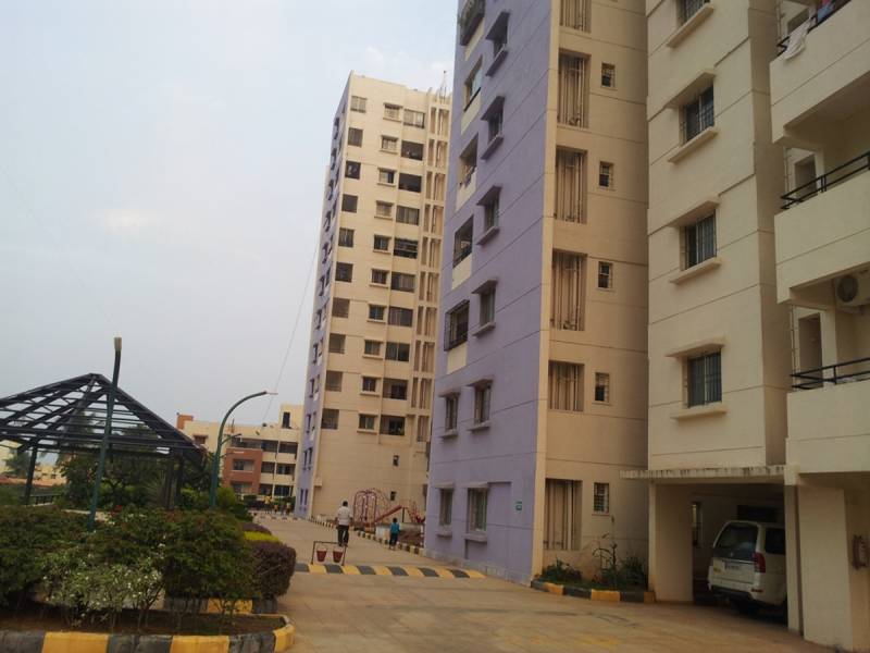 Images for Elevation of Oceanus Greendale Phase I