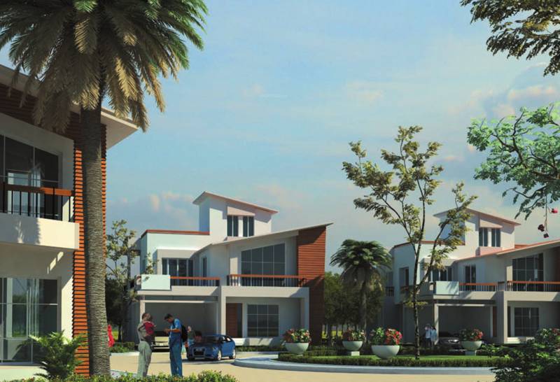  mayberry Images for Elevation of Prestige Mayberry