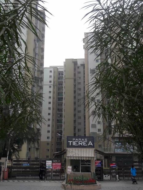  tierea Images for Project