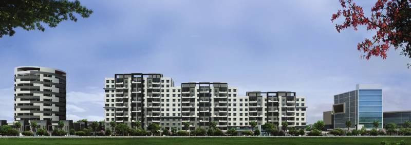 Images for Elevation of Panama Silver Stone