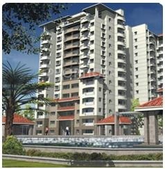 Images for Elevation of IDEB Inc IDEB Springdale