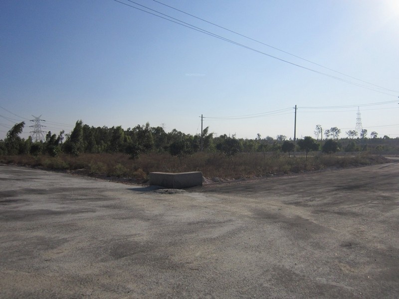 Images for Main Other of Tekton Delonix City