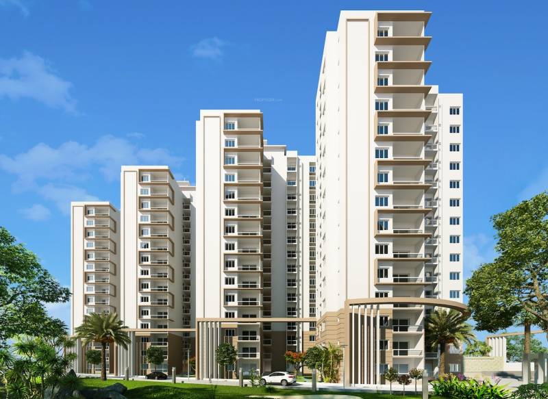  hi-life Images for Elevation of Definer Hi Life