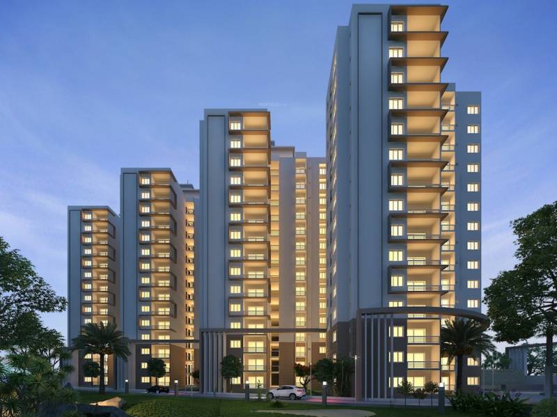  hi-life Images for Elevation of Definer Hi Life