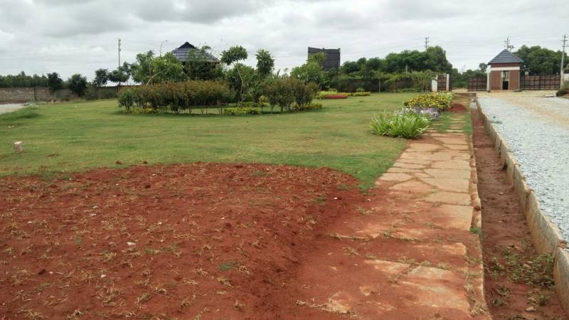 Images for Main Other of Shriram Godhuli